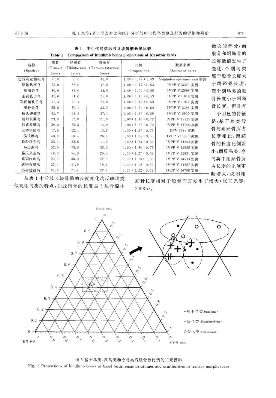 基于形态对比和统计分析探究的中生代鸟类栖息行为的识别和判断.pdf_第5页