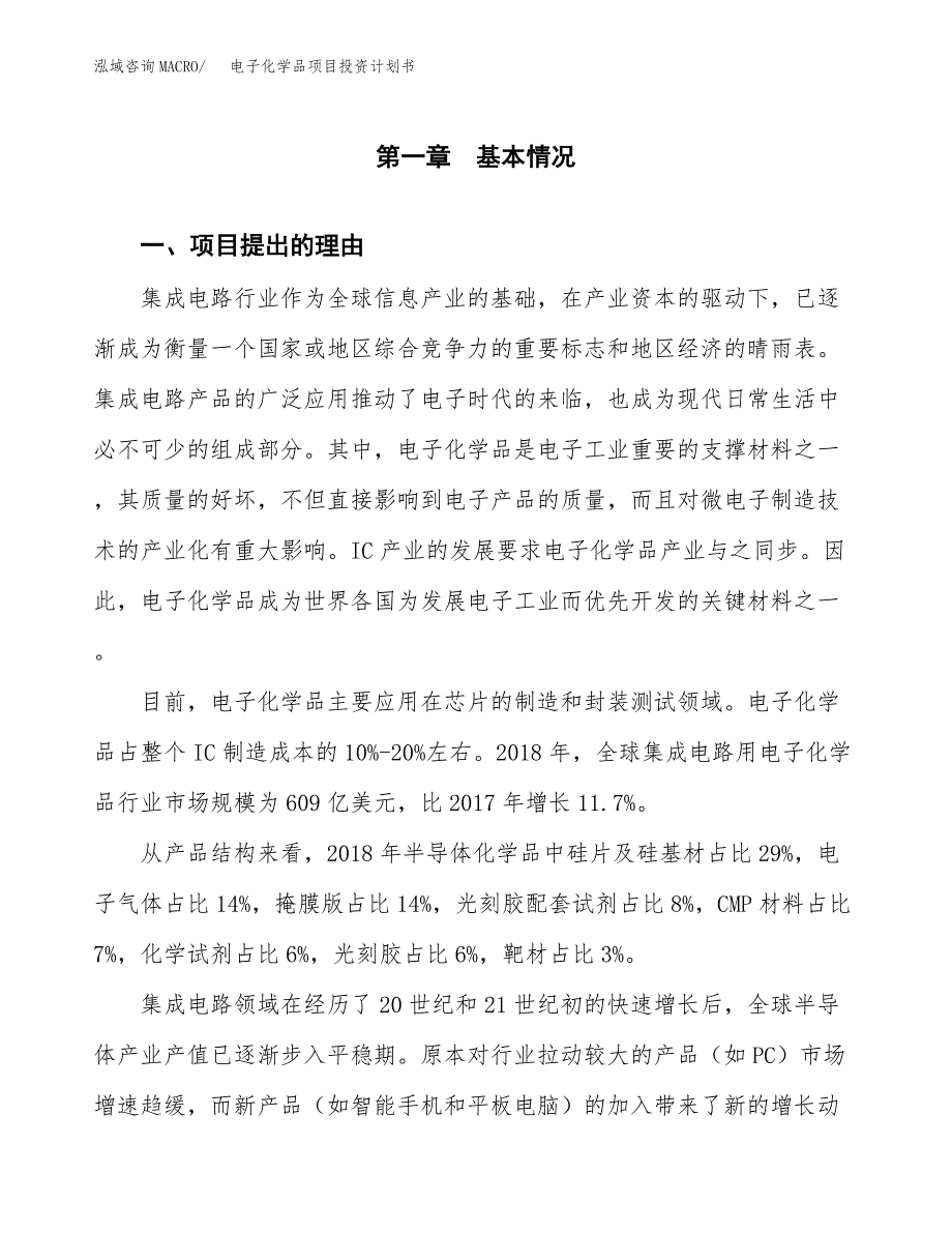 电子化学品项目投资计划书模板及参考范文_第2页