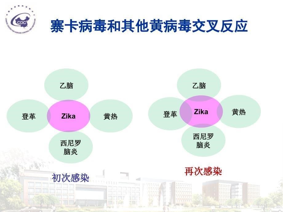 寨卡病毒和寨卡病毒病疫情课件_第5页