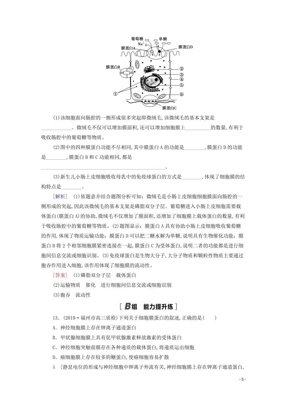 2021高考生物一轮复习课后限时集训5细胞膜和细胞核新人教版_第5页