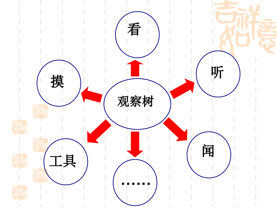 教科小学科学三上《1.2、校园的树木》PPT课件(2)_第3页