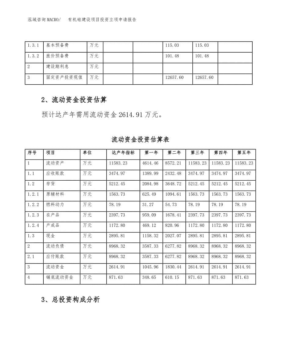 有机硅建设项目投资立项申请报告_第5页