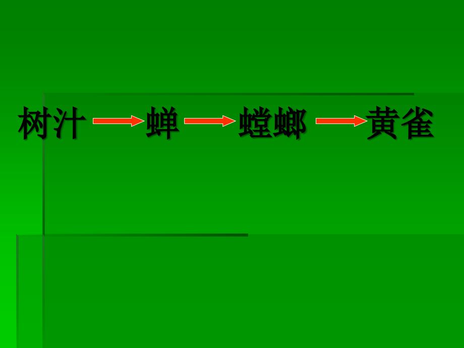 教科小学科学五上《1.5、食物链和食物网》PPT课件(3)_第3页