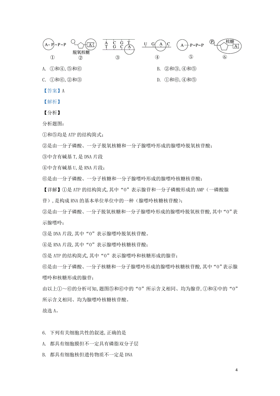 北京市101中学2018—2019学年高二生物下学期期末考试试题（含解析）_第4页