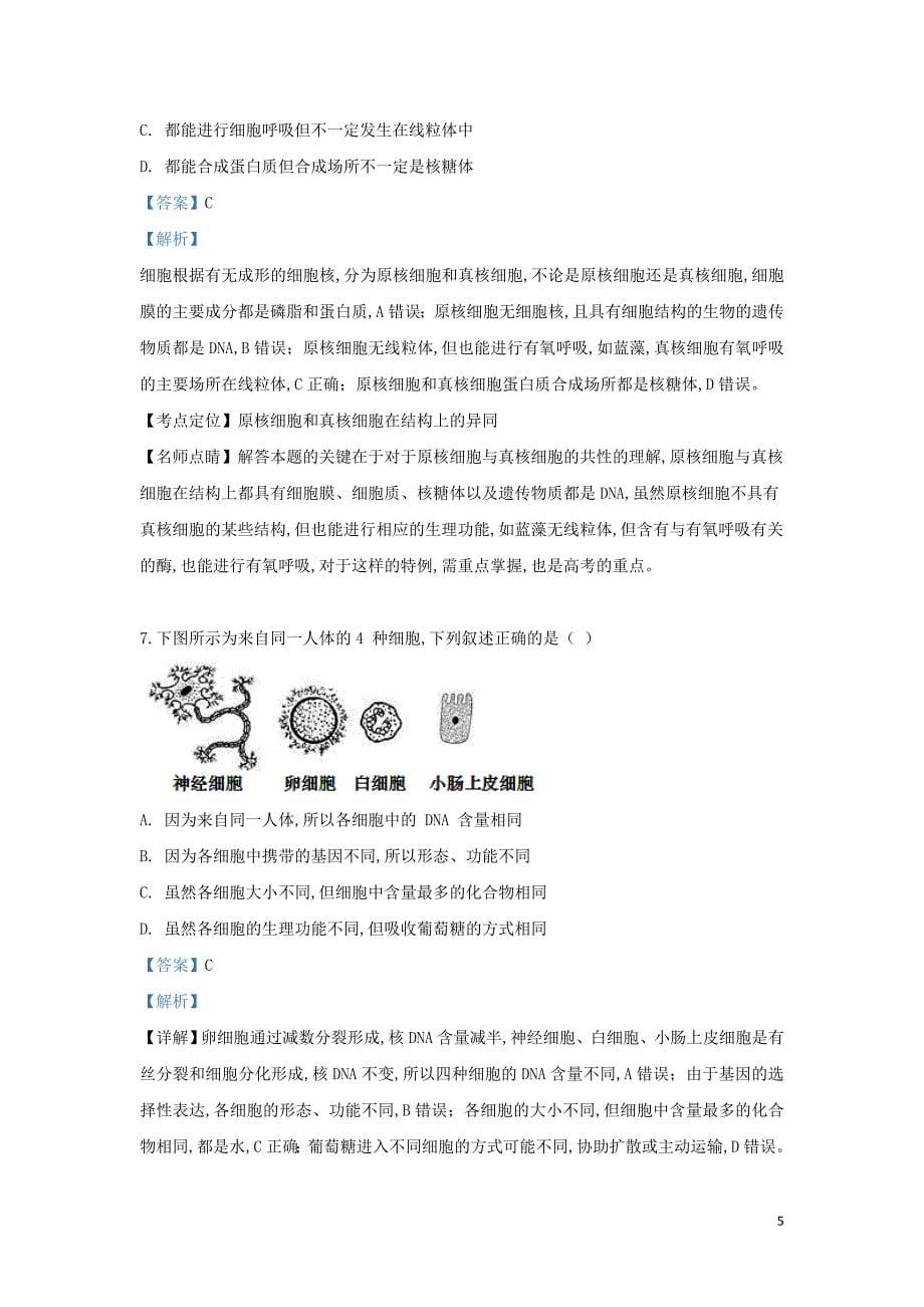 北京市101中学2018—2019学年高二生物下学期期末考试试题（含解析）_第5页