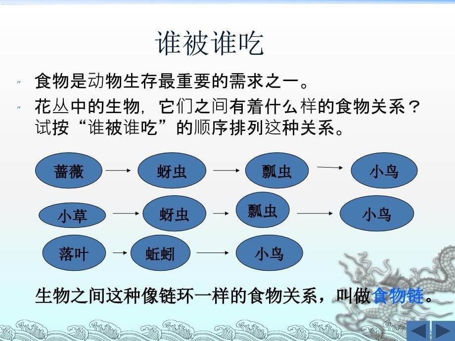 教科小学科学五上《1.5、食物链和食物网》PPT课件(2)_第5页