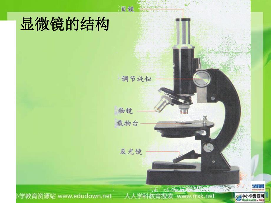 教科小学科学六下《1.5、用显微镜观察身边的生命世界（一）》PPT课件(3)_第2页