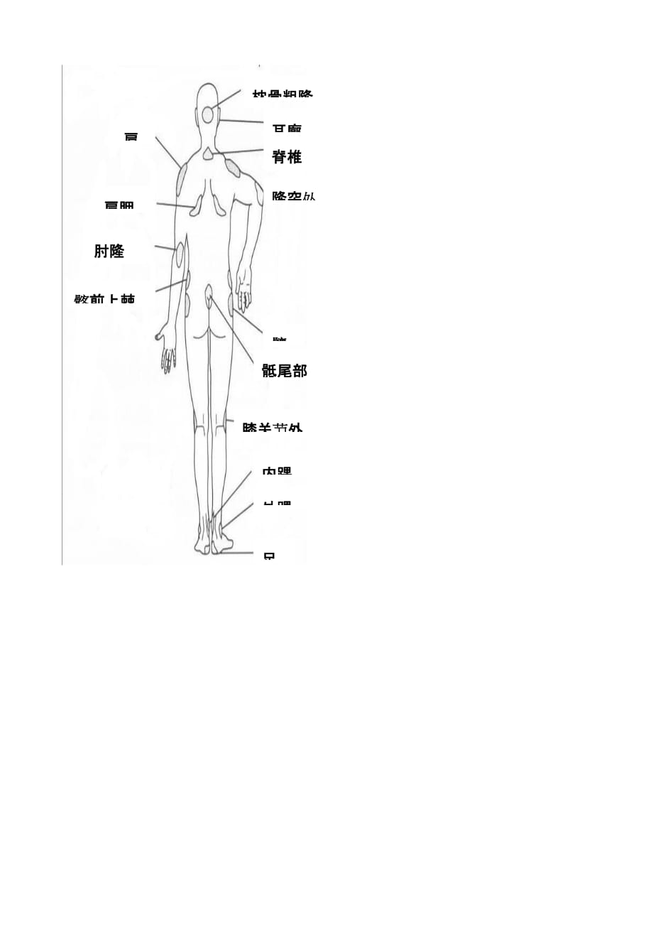 压疮护理记录表格模板_第4页