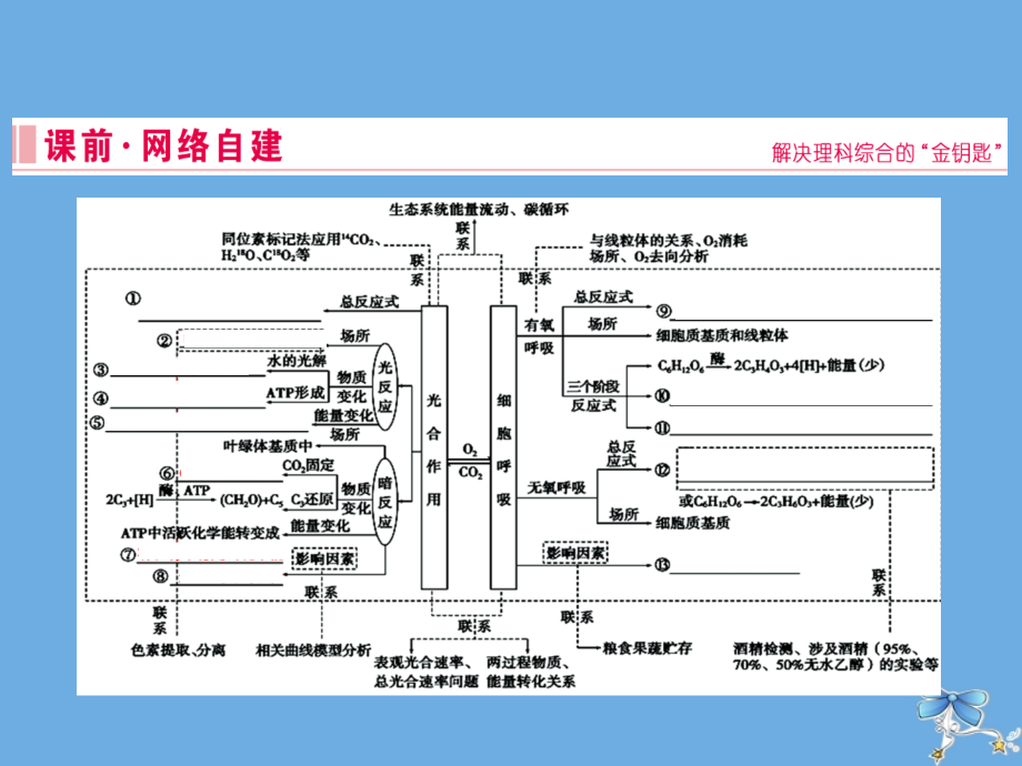 2020届高考生物艺考生总复习专题二细胞的代谢第4讲细胞呼吸与光合作用课件_第2页