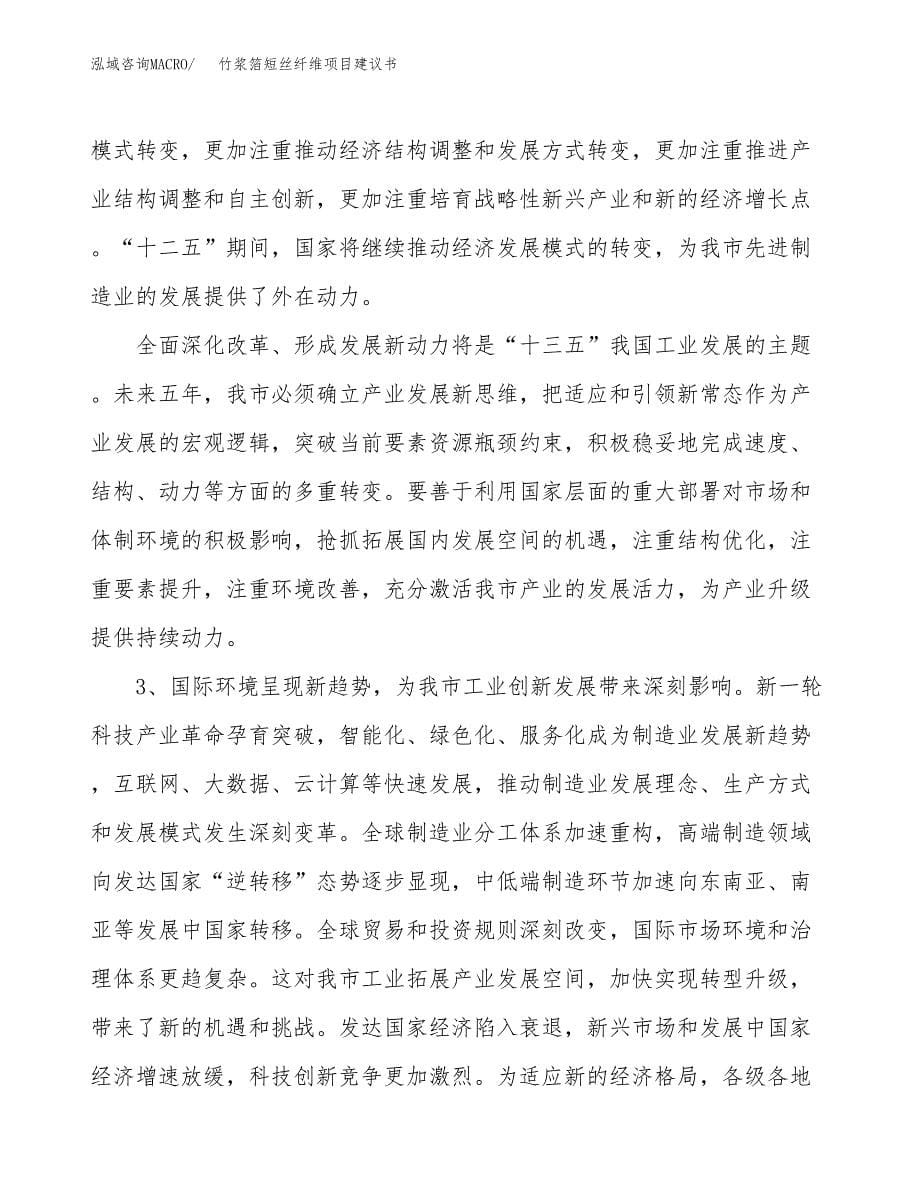 竹浆箔短丝纤维项目建议书(项目汇报及实施方案范文).docx_第5页