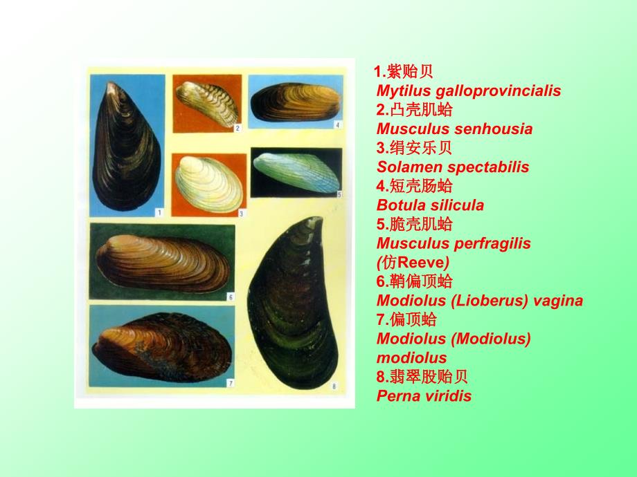 古生物地史学04-3_第4页