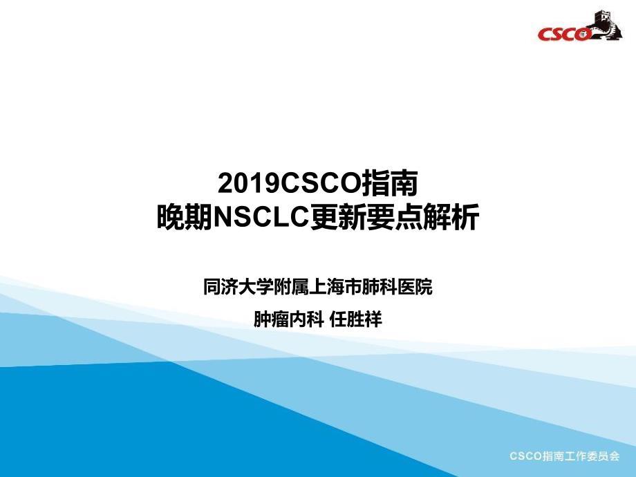 CSCO指南2019晚期非小细胞肺癌更新解析
