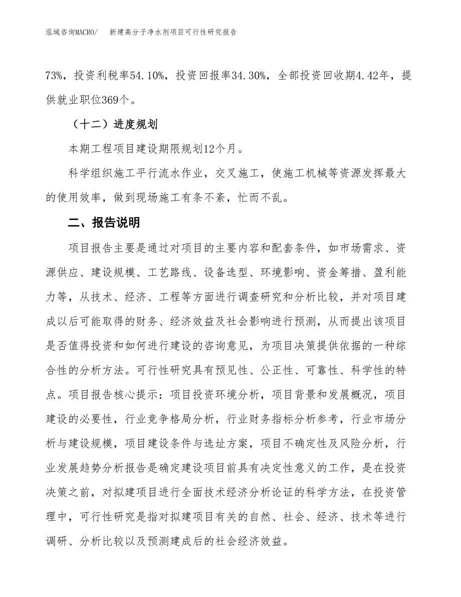 新建高分子净水剂项目可行性研究报告(投资申报).docx_第5页