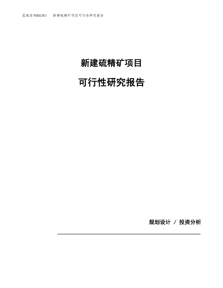 新建硫精矿项目可行性研究报告(投资申报).docx_第1页