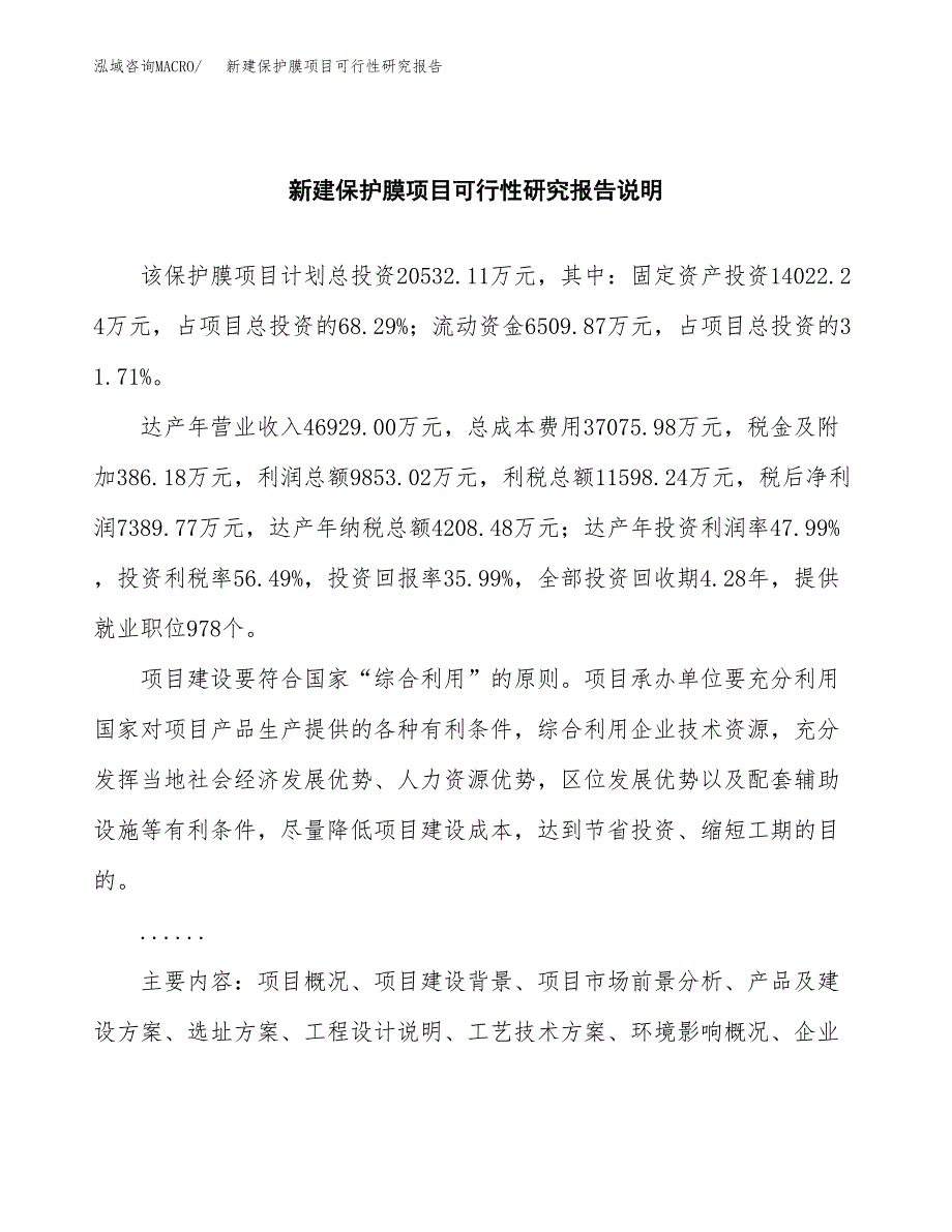 新建保护膜项目可行性研究报告(投资申报).docx_第2页