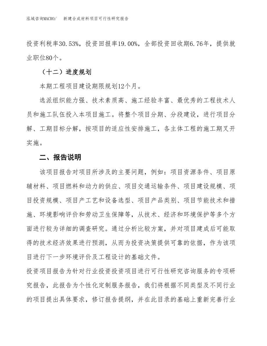 新建合成材料项目可行性研究报告(投资申报).docx_第5页