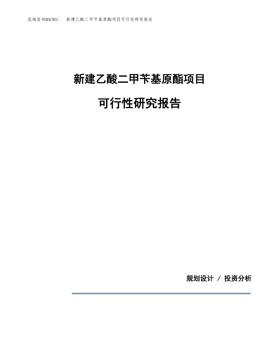 新建乙酸二甲苄基原酯项目可行性研究报告(投资申报).docx_第1页