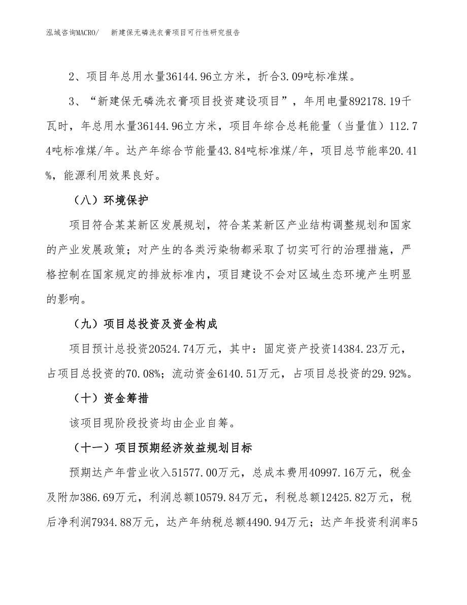 新建保无磷洗衣膏项目可行性研究报告(投资申报).docx_第5页