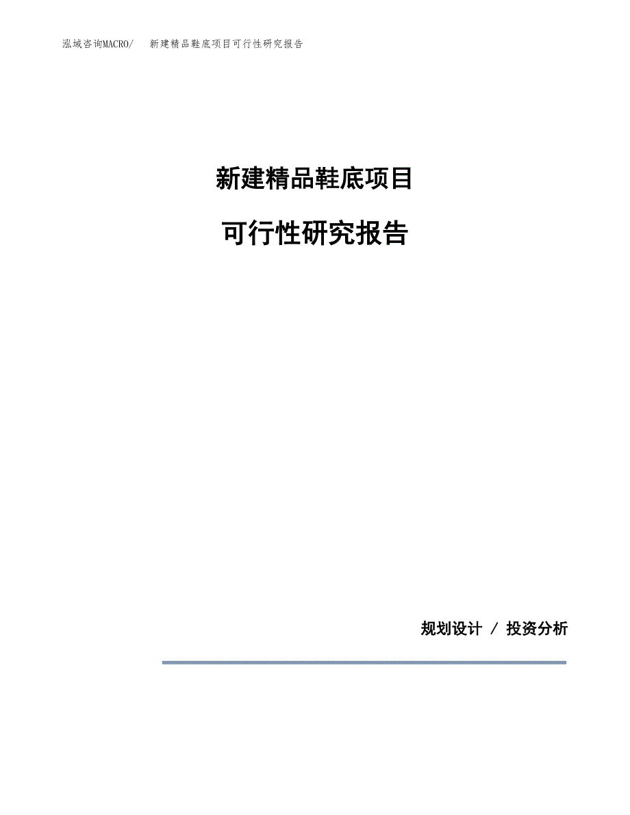 新建精品鞋底项目可行性研究报告(投资申报).docx_第1页
