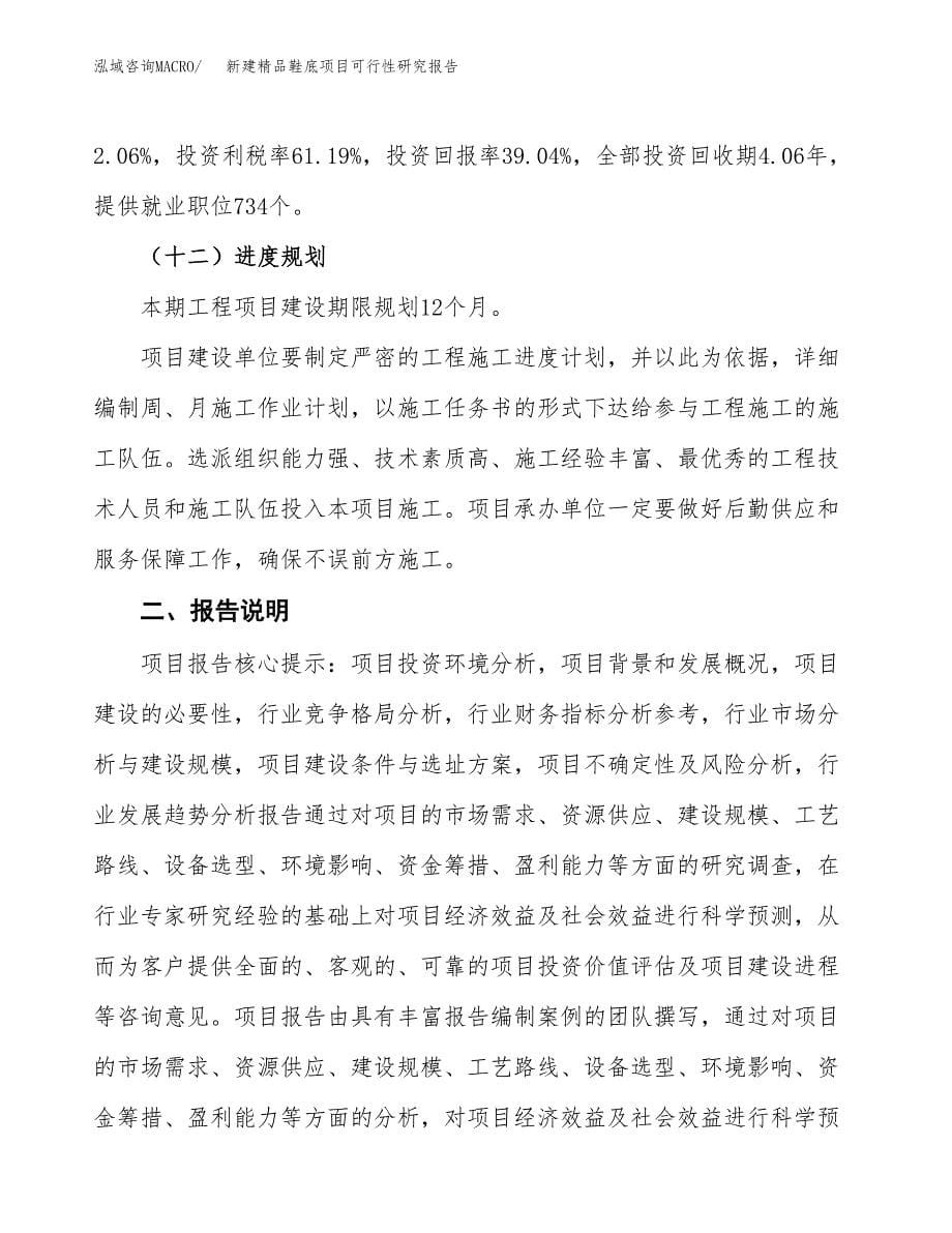 新建精品鞋底项目可行性研究报告(投资申报).docx_第5页