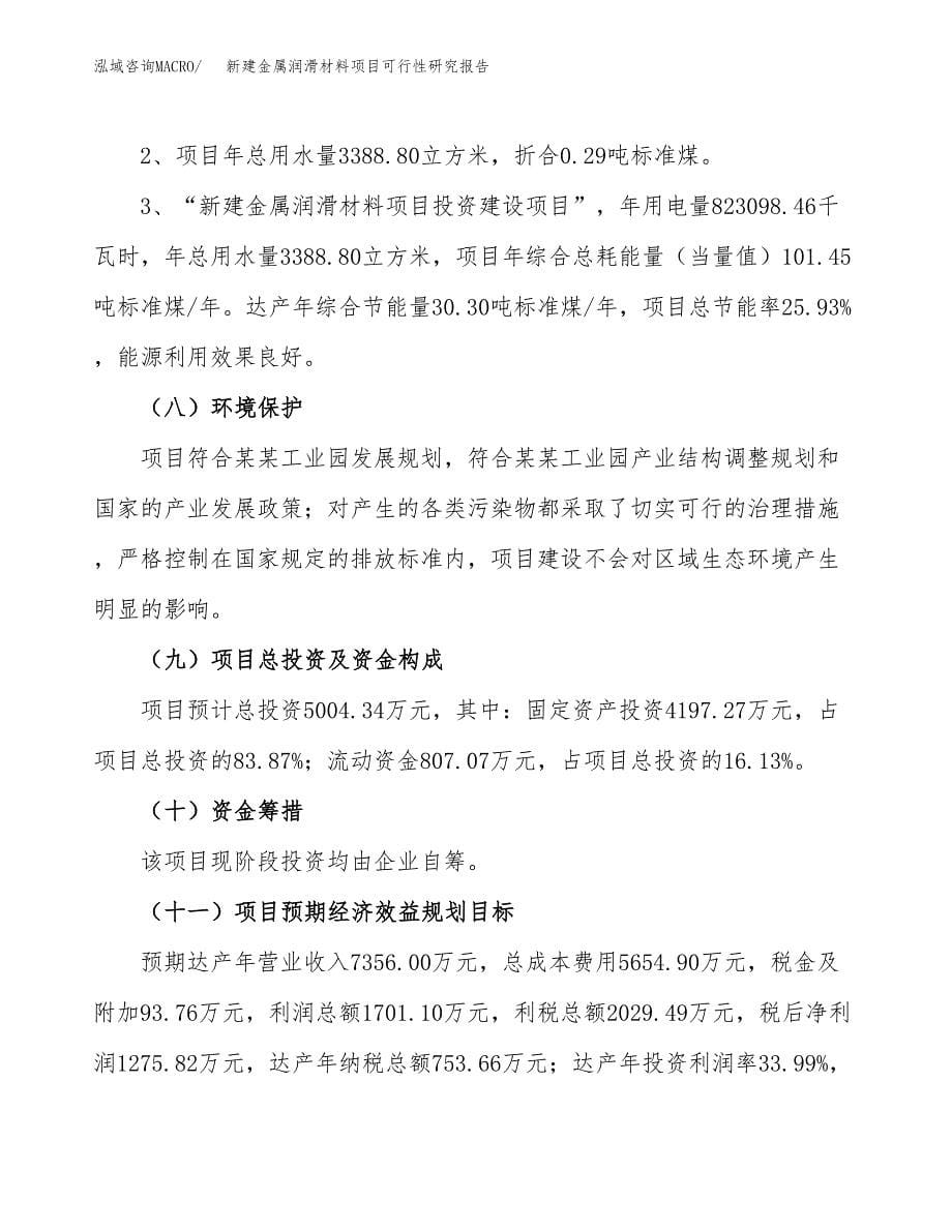 新建金属润滑材料项目可行性研究报告(投资申报).docx_第5页