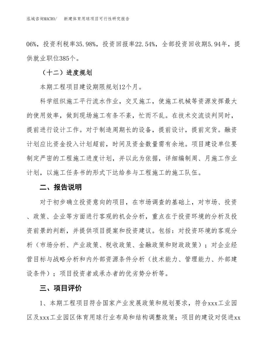 新建体育用球项目可行性研究报告(投资申报).docx_第5页