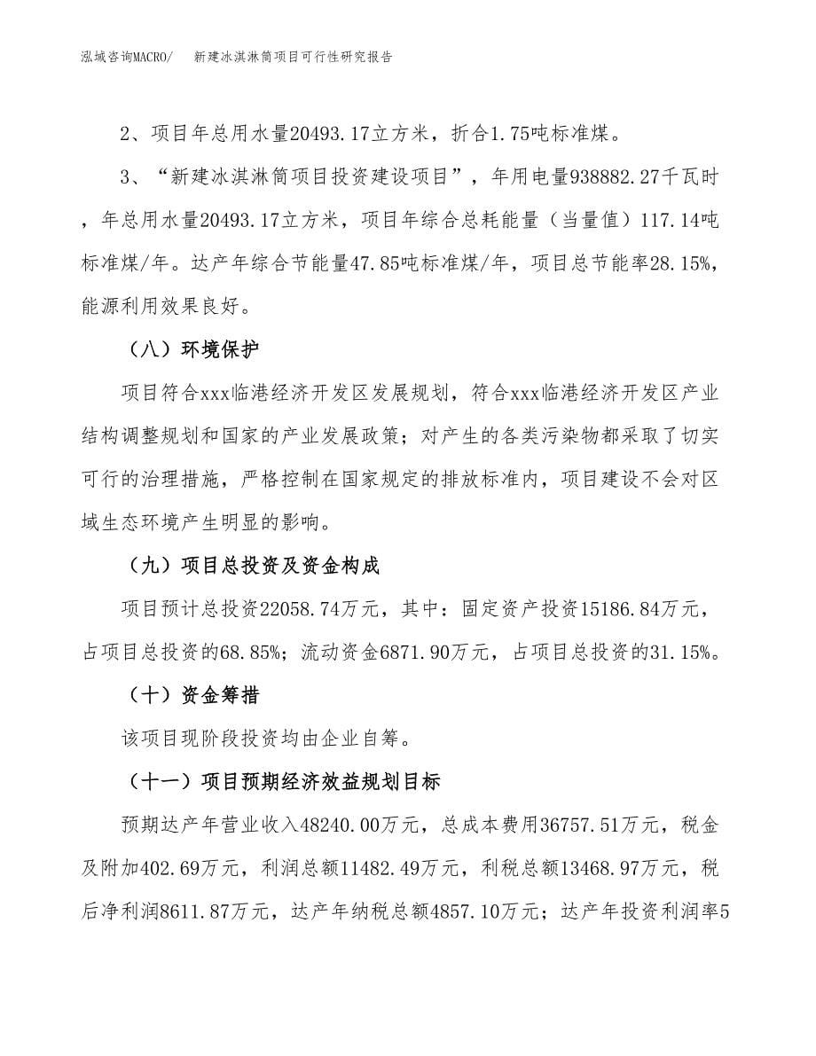 新建冰淇淋筒项目可行性研究报告(投资申报).docx_第5页