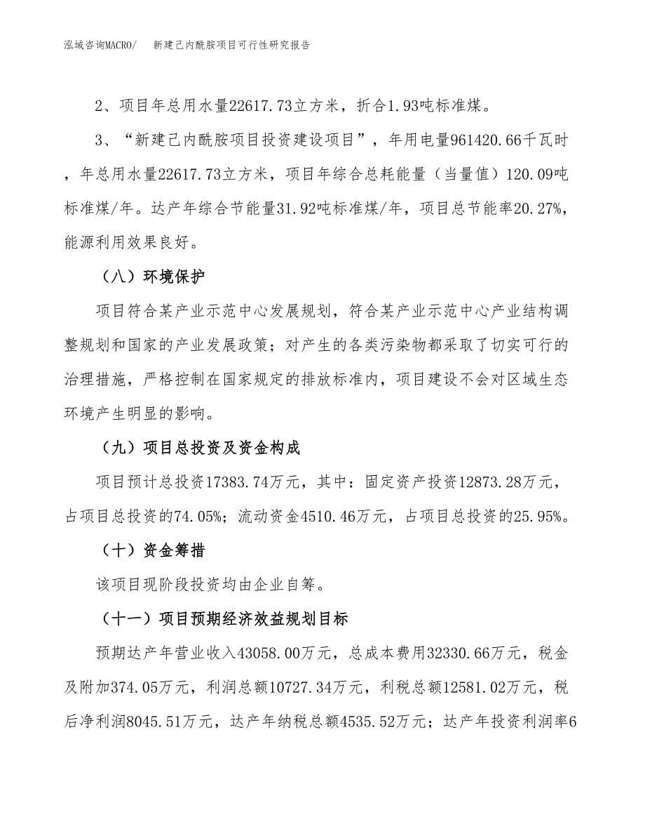 新建己内酰胺项目可行性研究报告(投资申报).docx_第5页