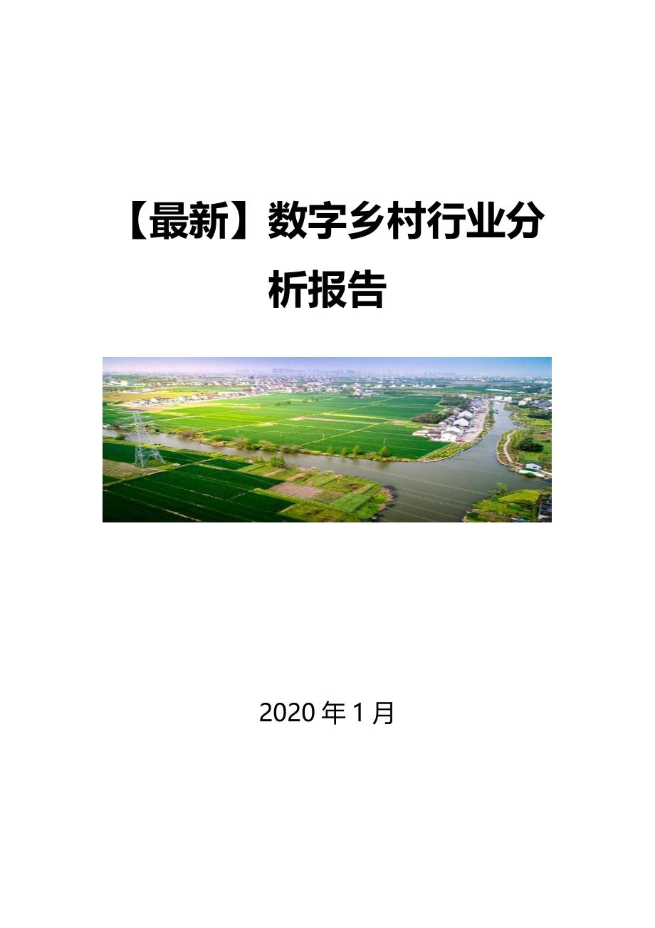 【最新】数字乡村行业分析报告_第1页