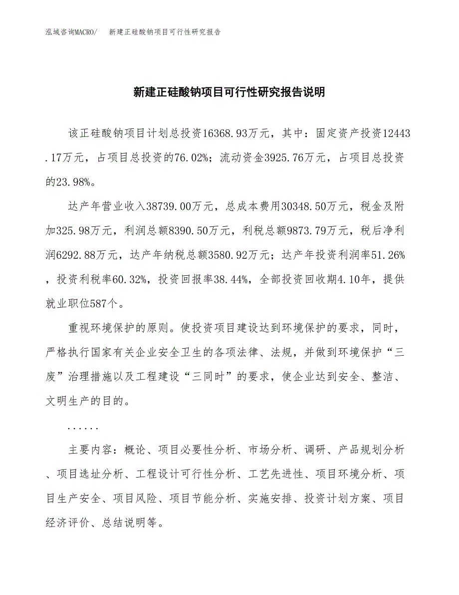 新建正硅酸钠项目可行性研究报告(投资申报).docx_第2页