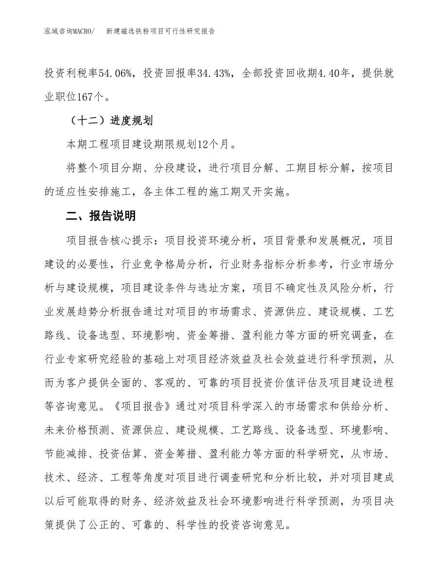 新建磁选铁粉项目可行性研究报告(投资申报).docx_第5页