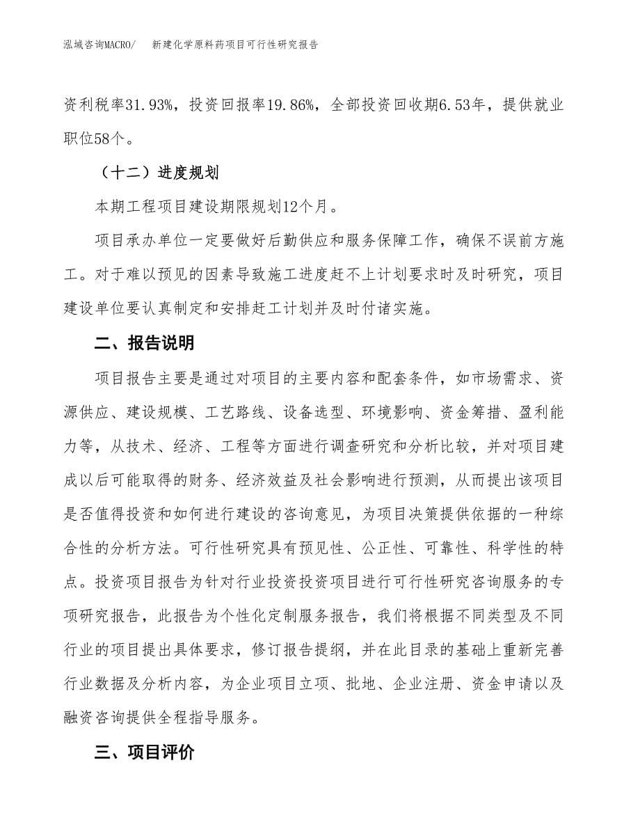 新建化学原料药项目可行性研究报告(投资申报).docx_第5页