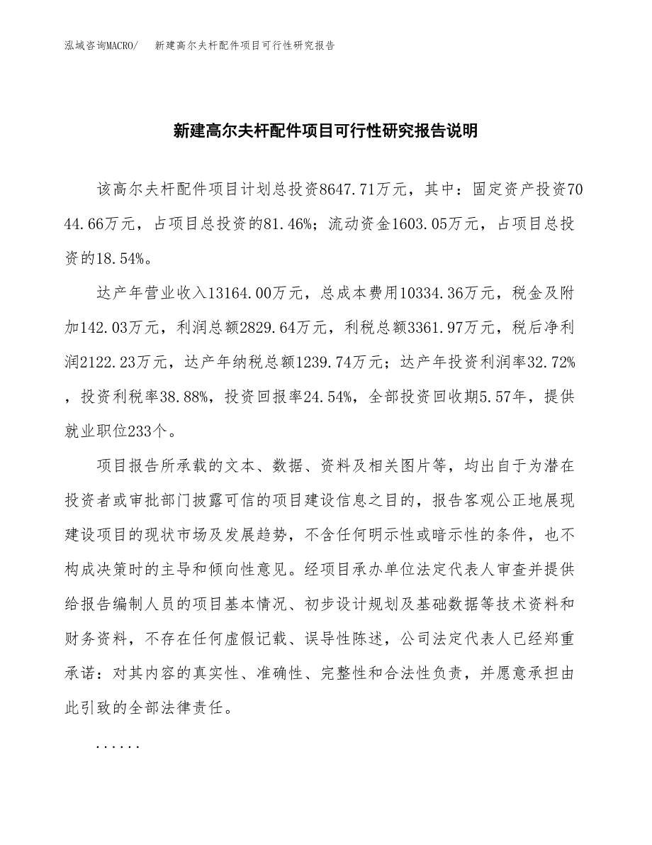 新建高尔夫杆配件项目可行性研究报告(投资申报).docx_第2页