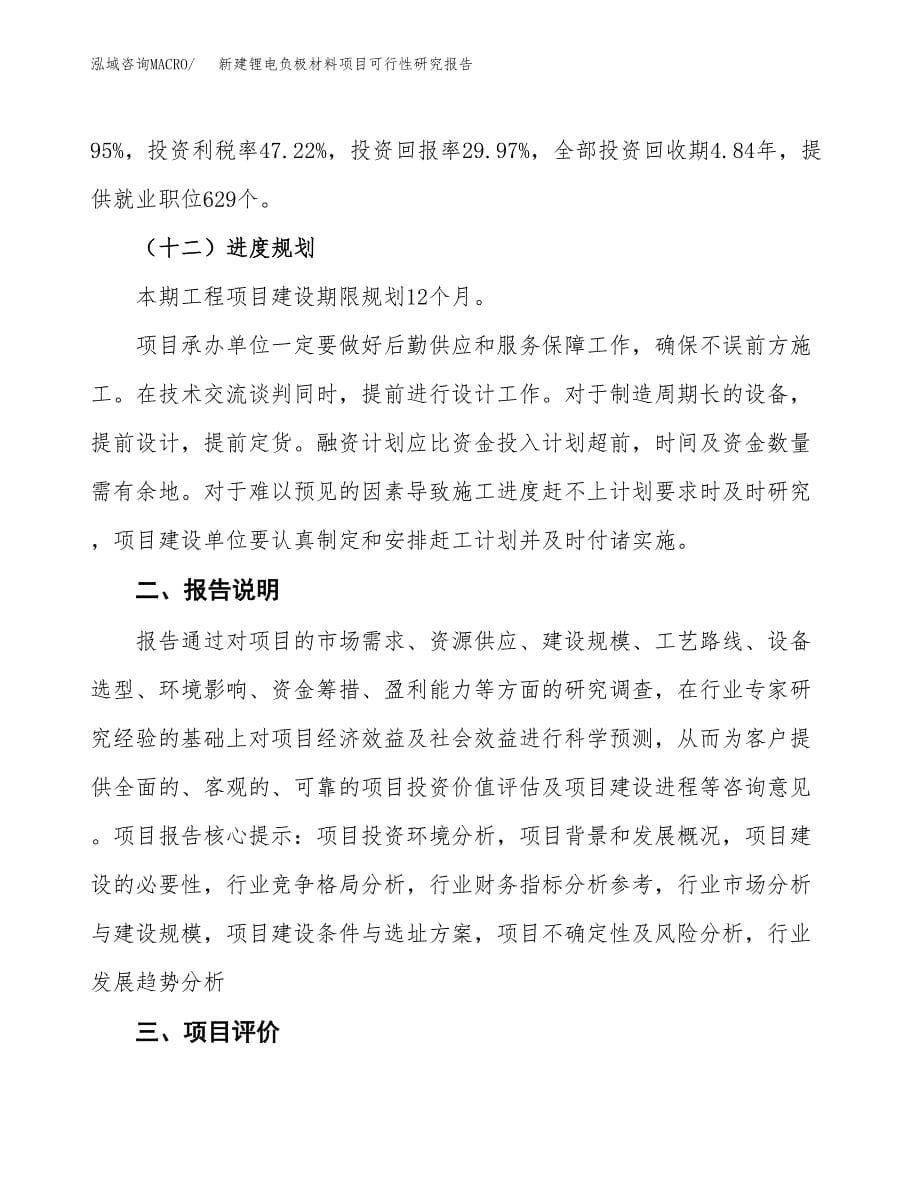 新建锂电负极材料项目可行性研究报告(投资申报).docx_第5页