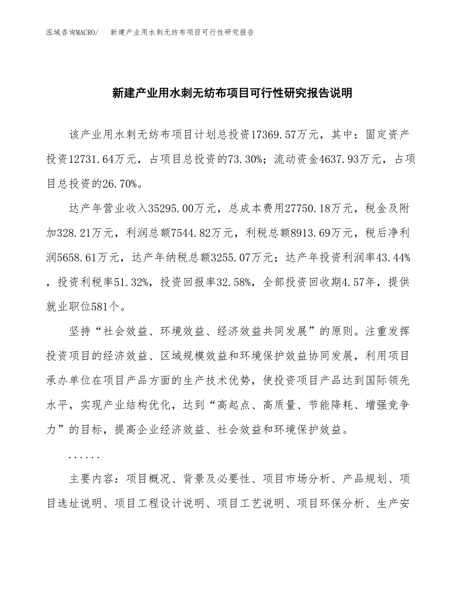 新建产业用水刺无纺布项目可行性研究报告(投资申报).docx_第2页