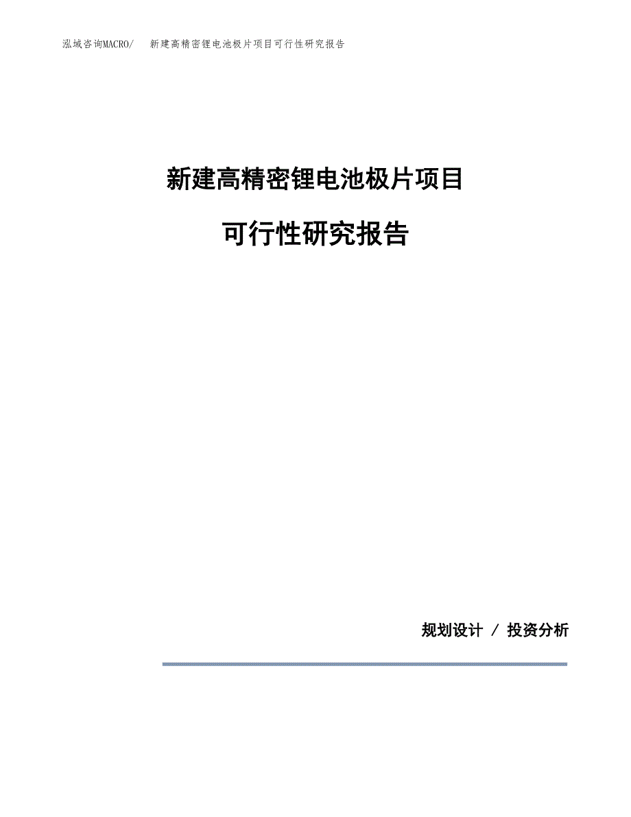新建高精密锂电池极片项目可行性研究报告(投资申报).docx_第1页