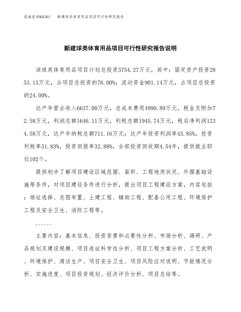 新建球类体育用品项目可行性研究报告(投资申报).docx_第2页