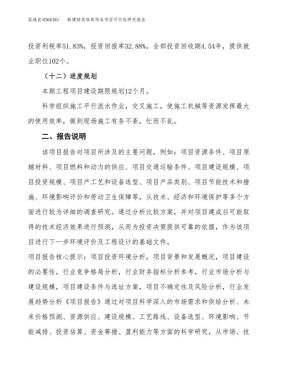 新建球类体育用品项目可行性研究报告(投资申报).docx_第5页