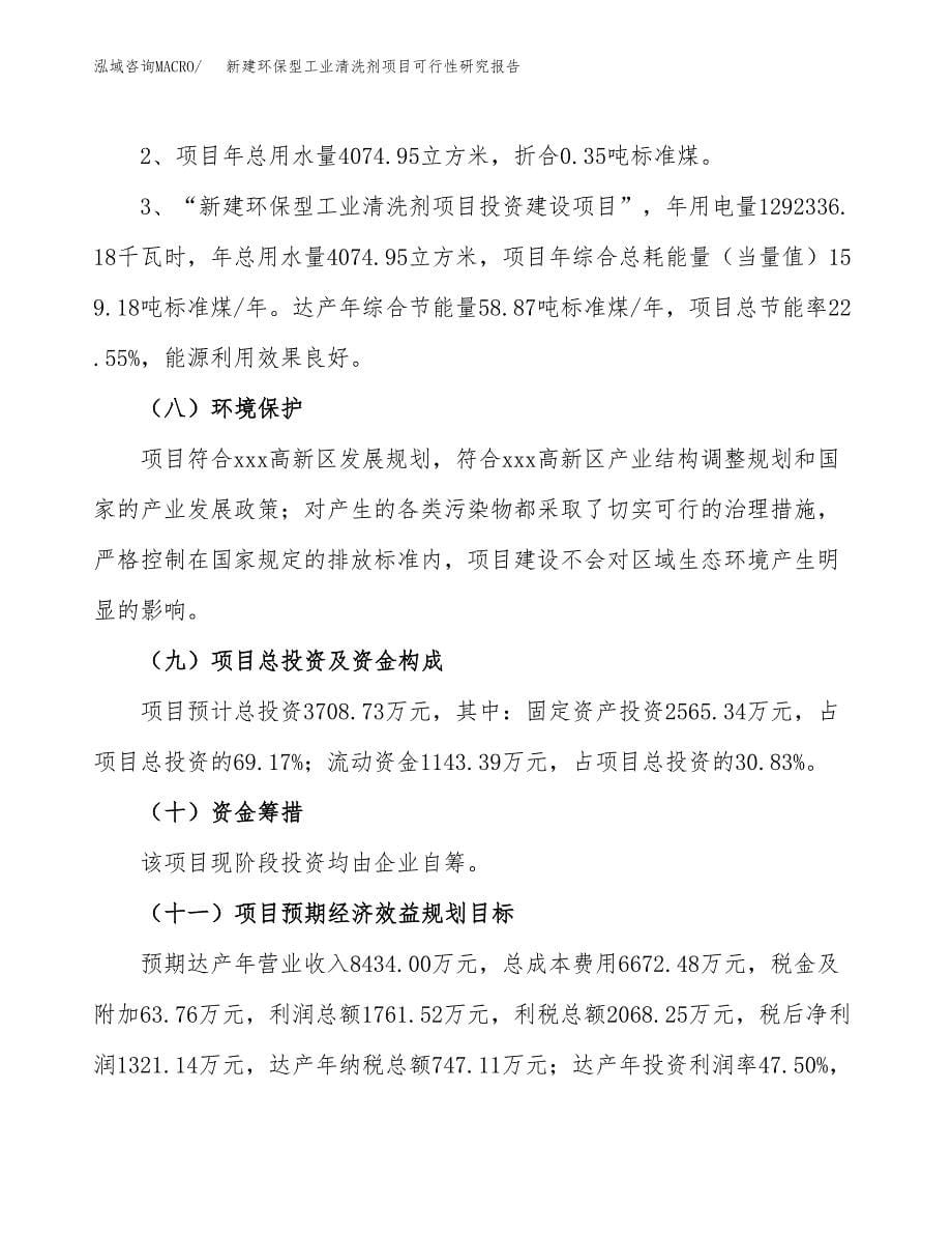 新建环保型工业清洗剂项目可行性研究报告(投资申报).docx_第5页