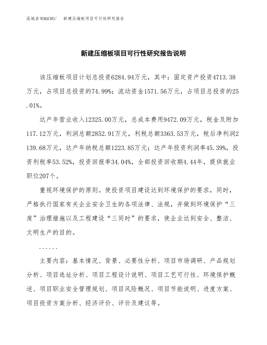 新建压缩板项目可行性研究报告(投资申报).docx_第2页