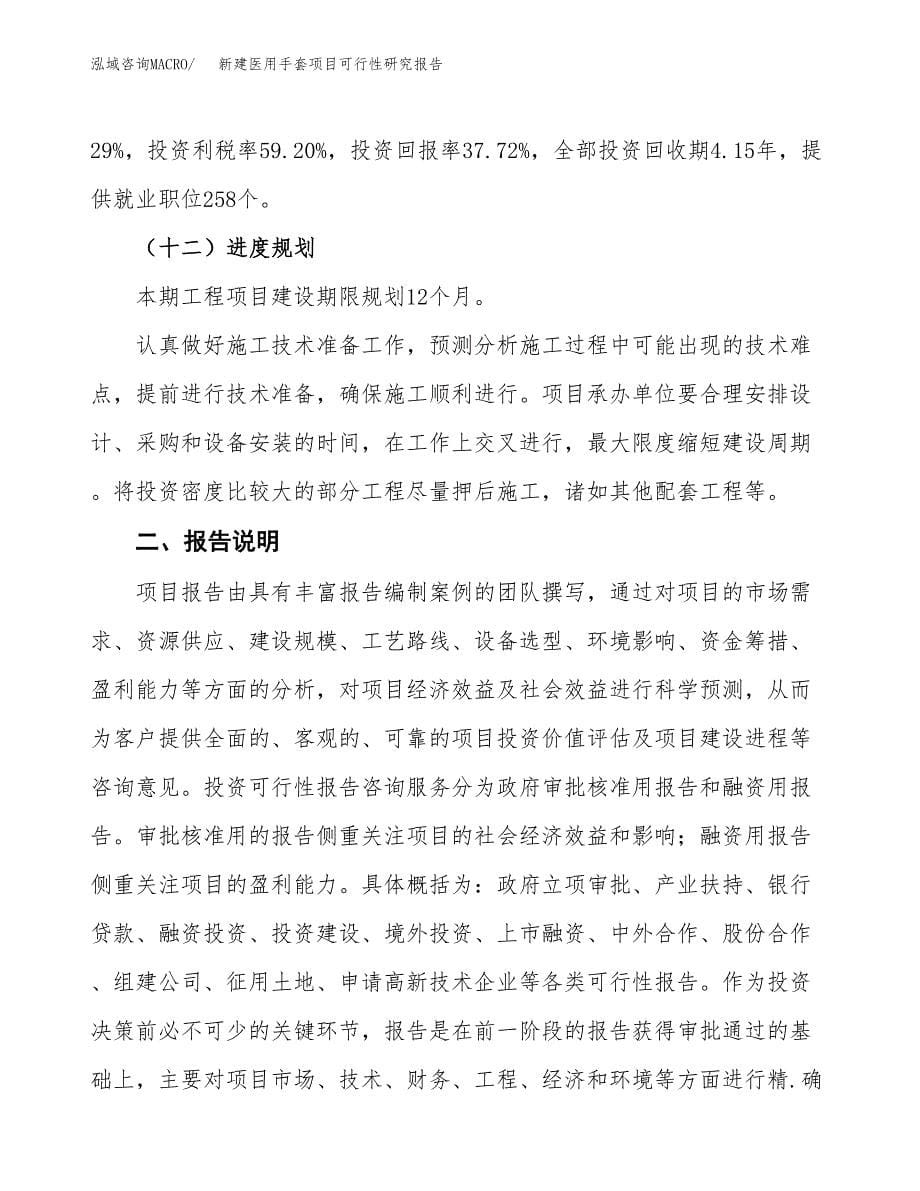 新建医用手套项目可行性研究报告(投资申报).docx_第5页