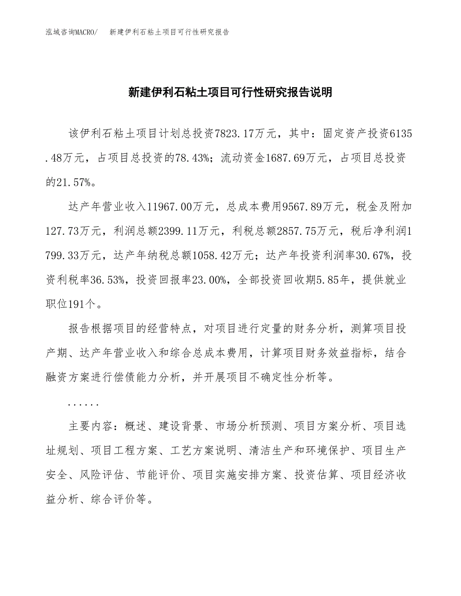 新建伊利石粘土项目可行性研究报告(投资申报).docx_第2页