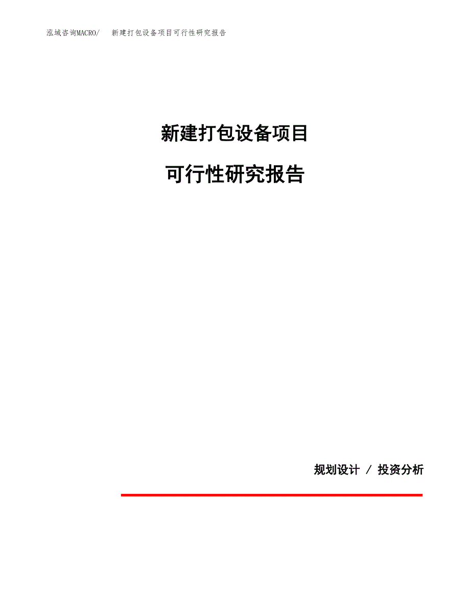 新建打包设备项目可行性研究报告(投资申报).docx_第1页