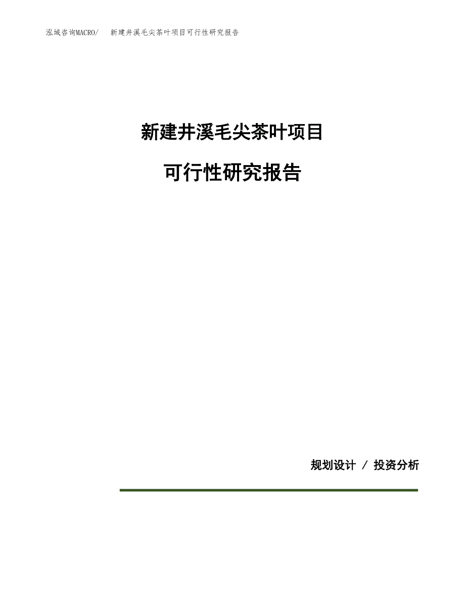 新建井溪毛尖茶叶项目可行性研究报告(投资申报).docx_第1页