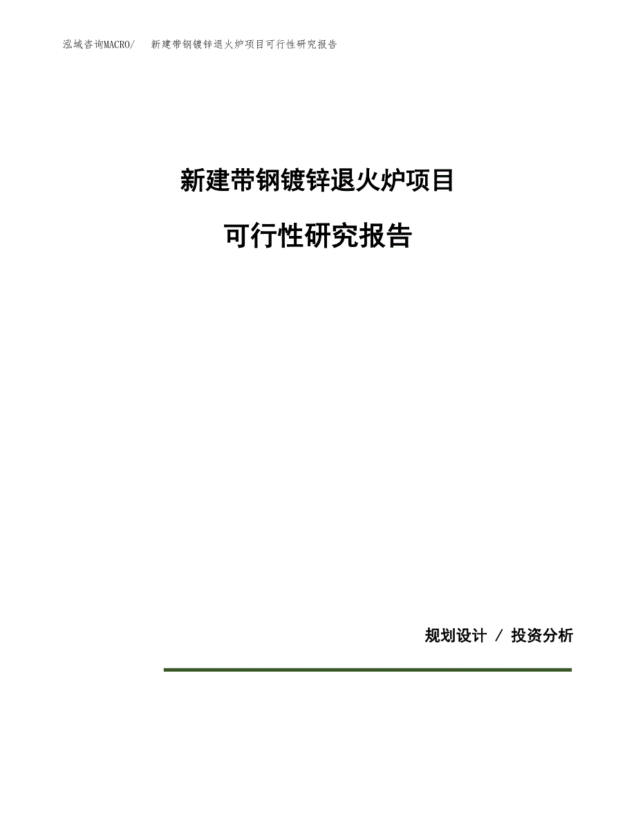 新建带钢镀锌退火炉项目可行性研究报告(投资申报).docx_第1页