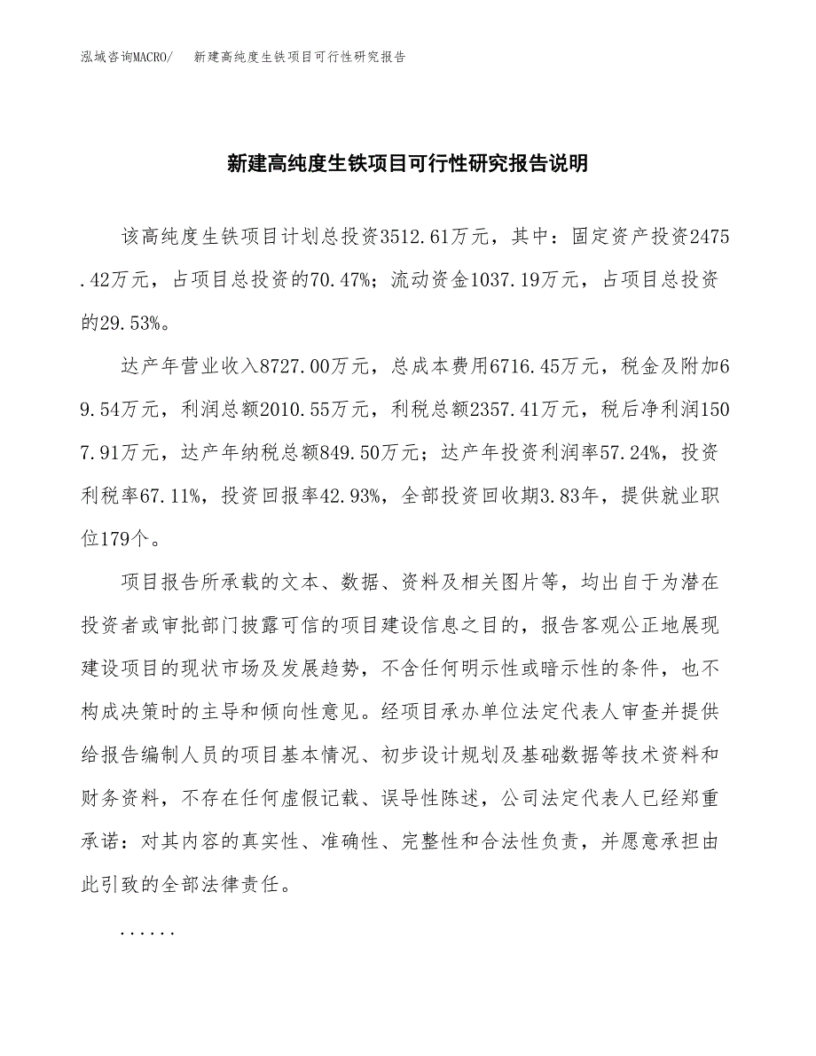 新建高纯度生铁项目可行性研究报告(投资申报).docx_第2页