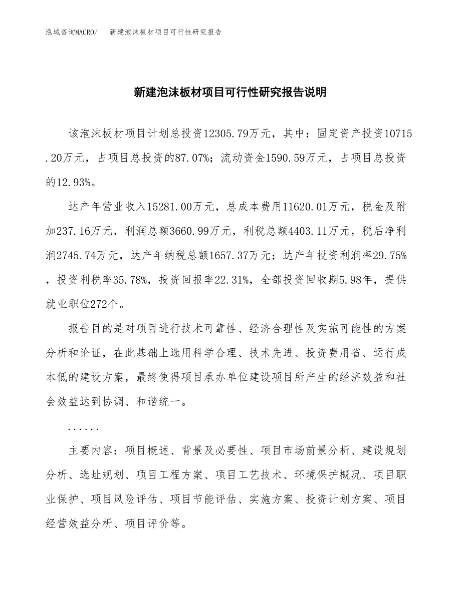 新建泡沫板材项目可行性研究报告(投资申报).docx_第2页