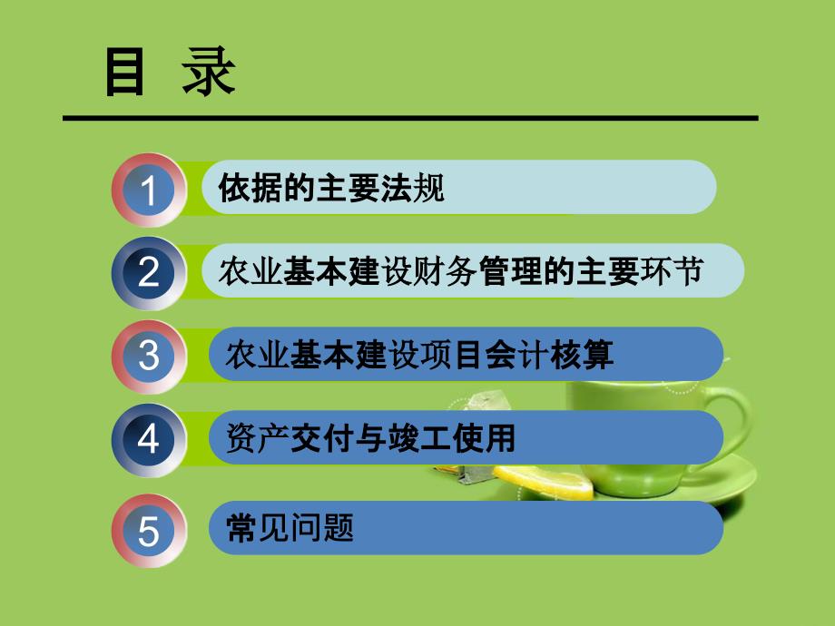 2017农业建设项目财务管理_第4页