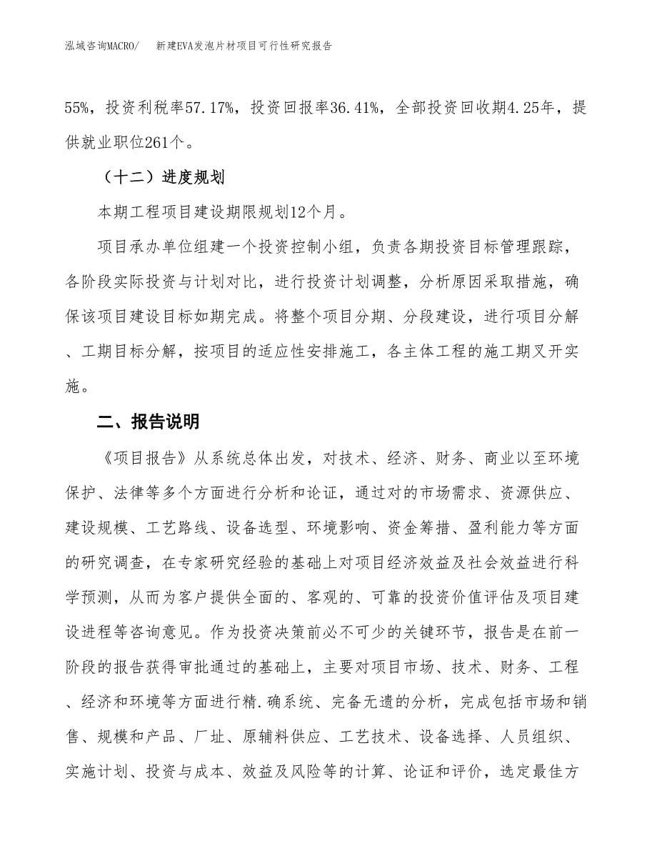 新建EVA发泡片材项目可行性研究报告(投资申报).docx_第5页