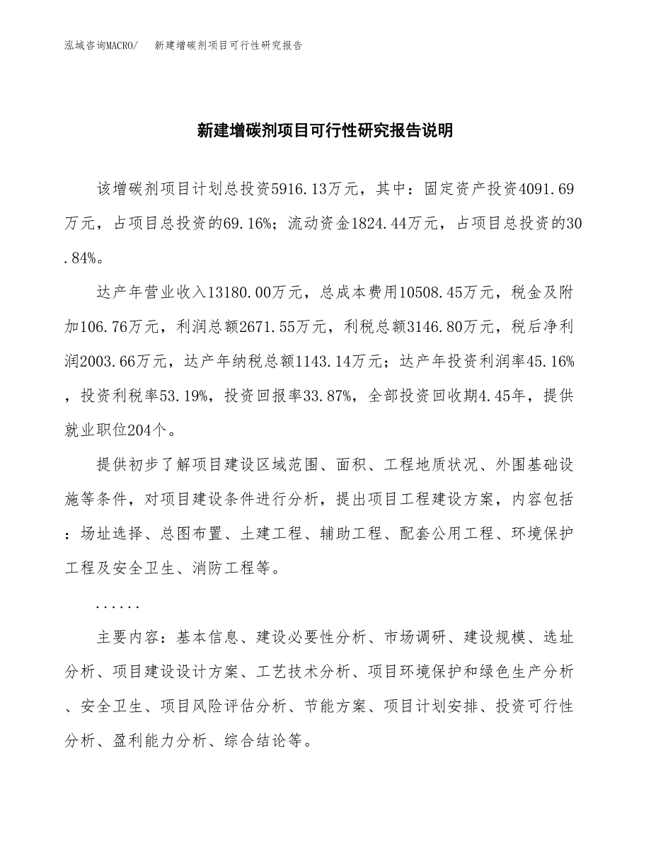 新建增碳剂项目可行性研究报告(投资申报).docx_第2页